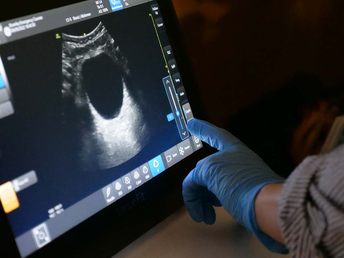 Advanced Paediatric Ultrasound Course 5 Advanced Paediatric PoCUS Course