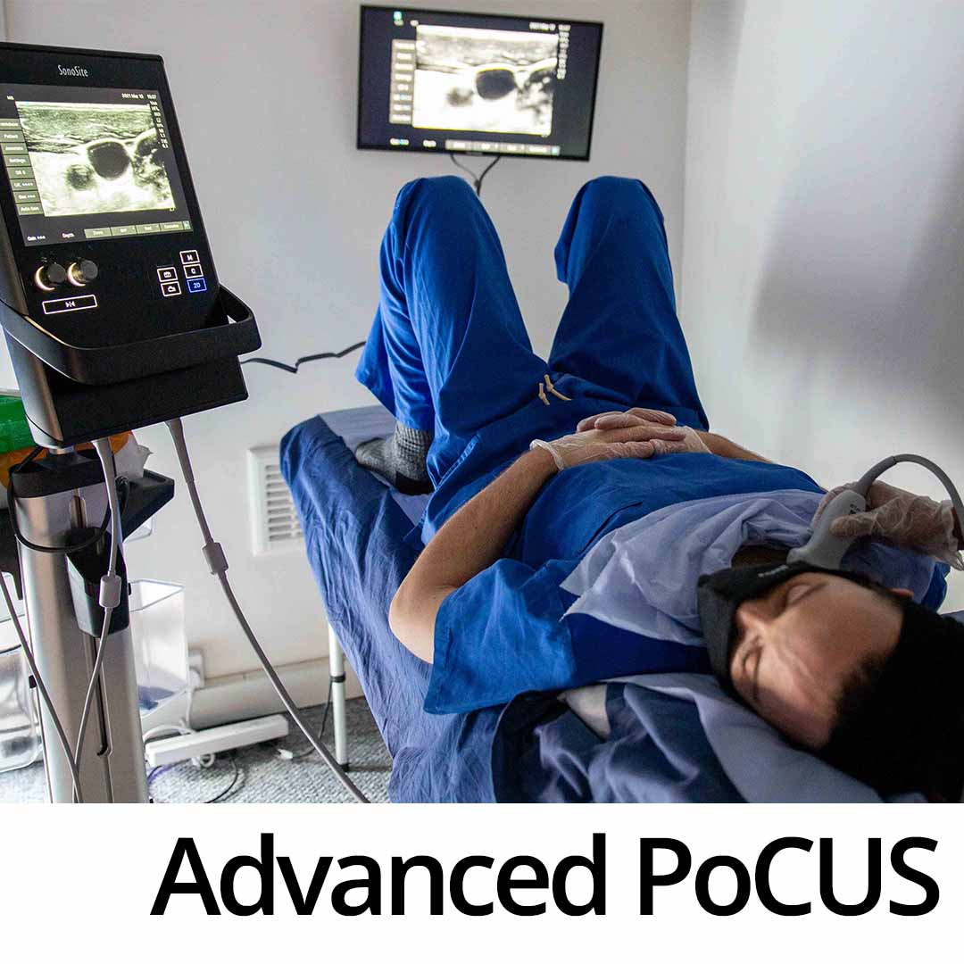 Advanced Point-of-care Ultrasound Course (Level 2)