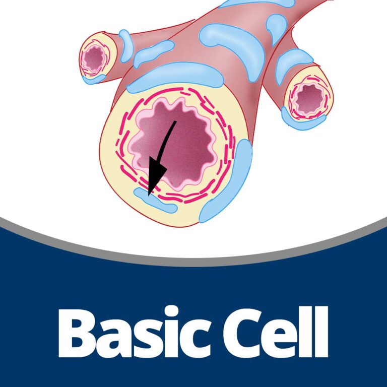 Physiology: Basic Cell (48 min)
