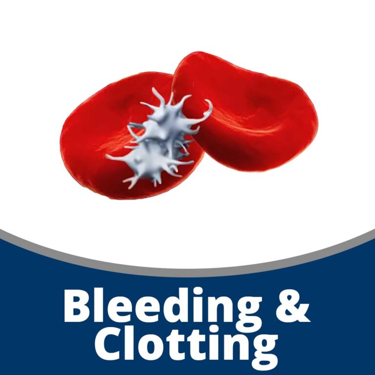 Bleeding and Clotting (44 min)