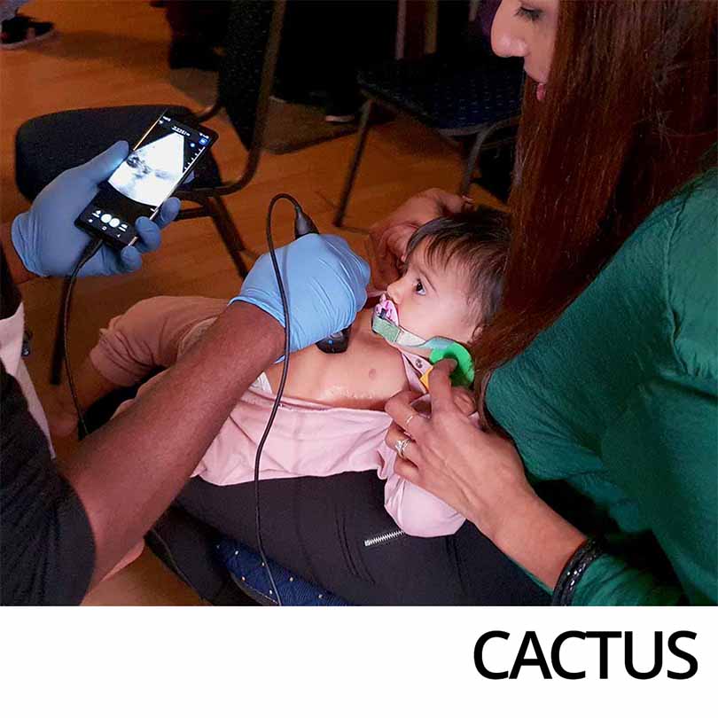 Paediatric Ultrasound (CACTUS) Course