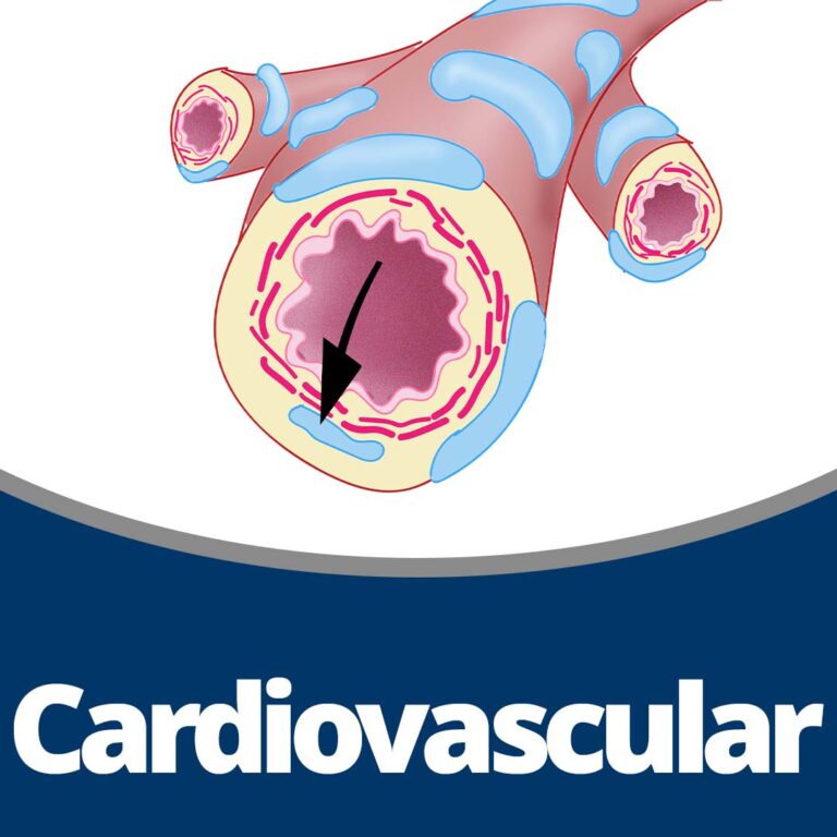 Physiology: Cardiovascular (122 min)