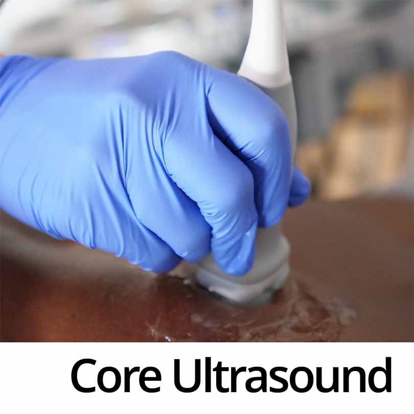 Core Emergency Ultrasound Course (Level 1)