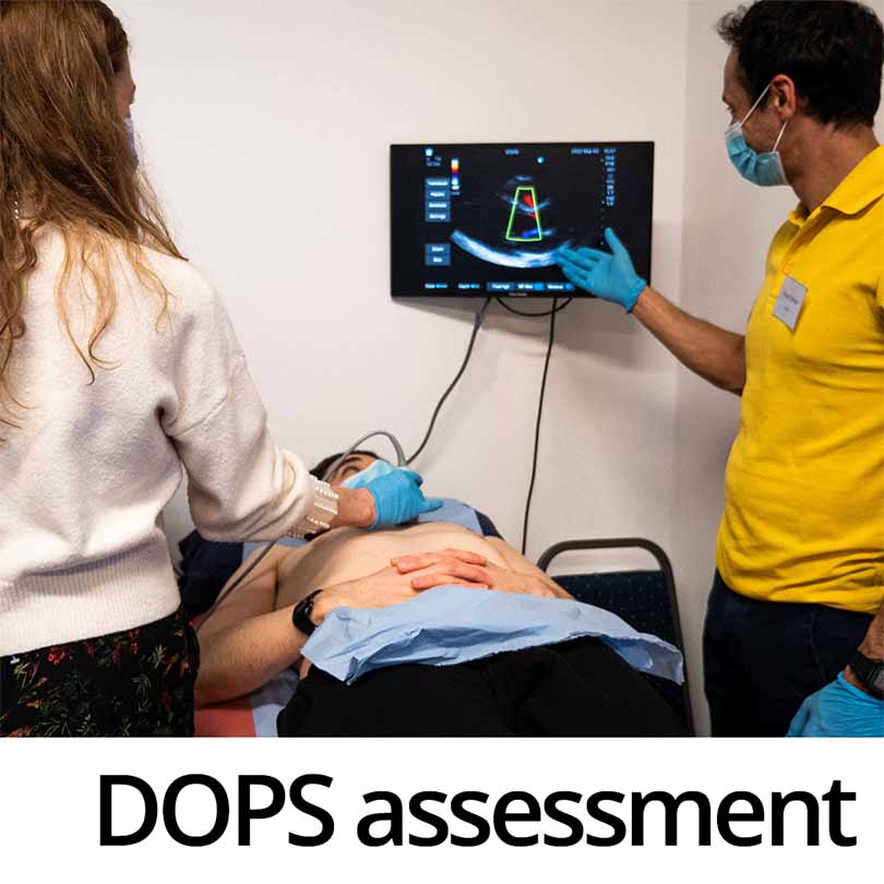 Ultrasound scanning session with DOPS assessment