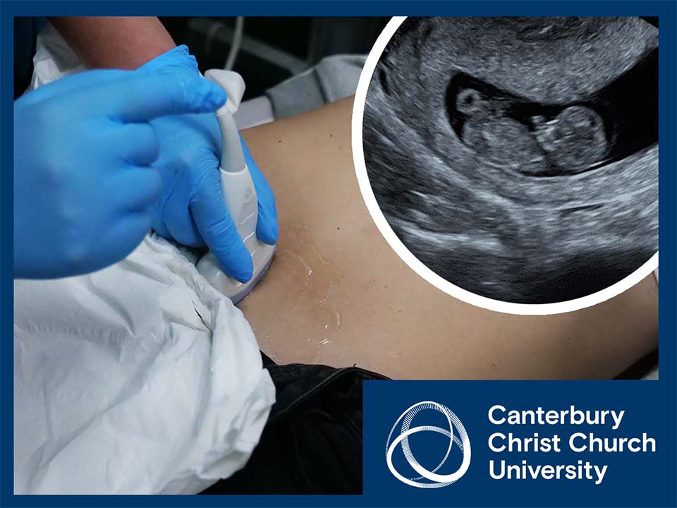 Point of Care Ultrasound for Pain and Bleeding in Early Pregnancy