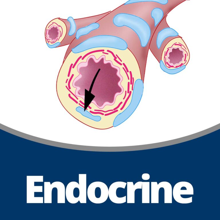Physiology: Endocrine (75 min)