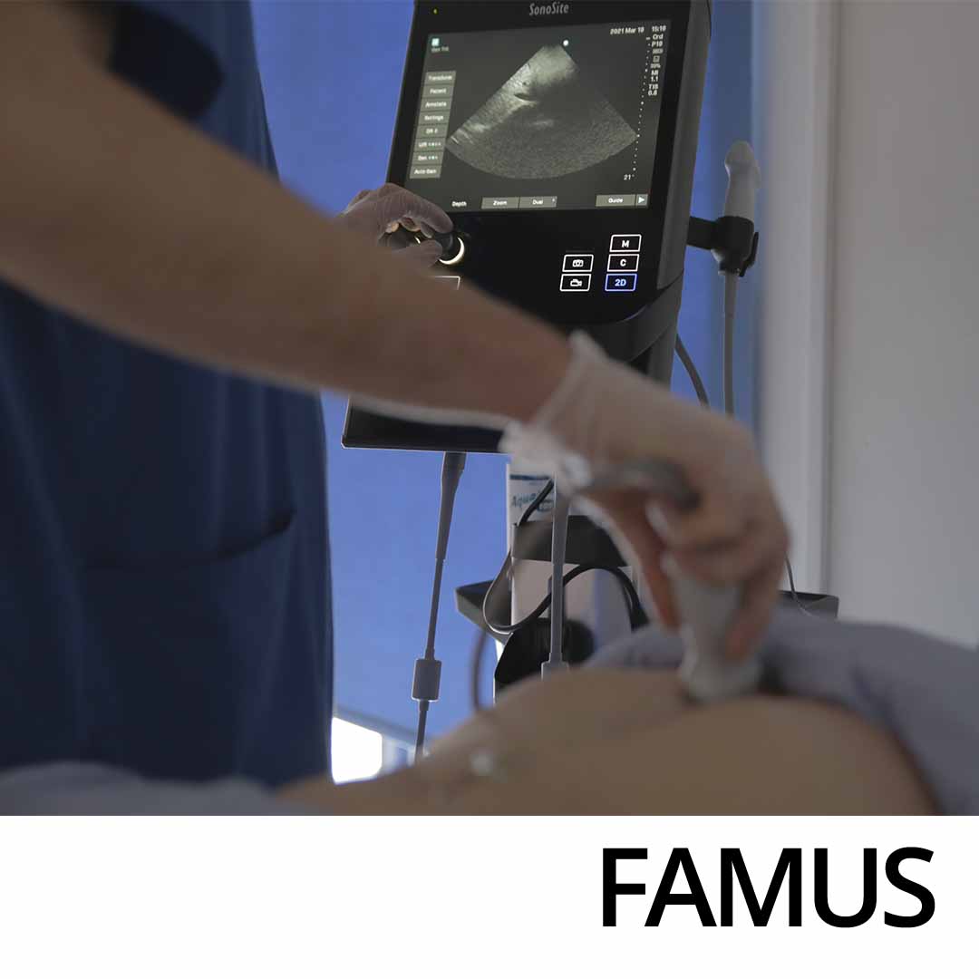 FAMUS course