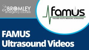 famus-ultrasound-videos