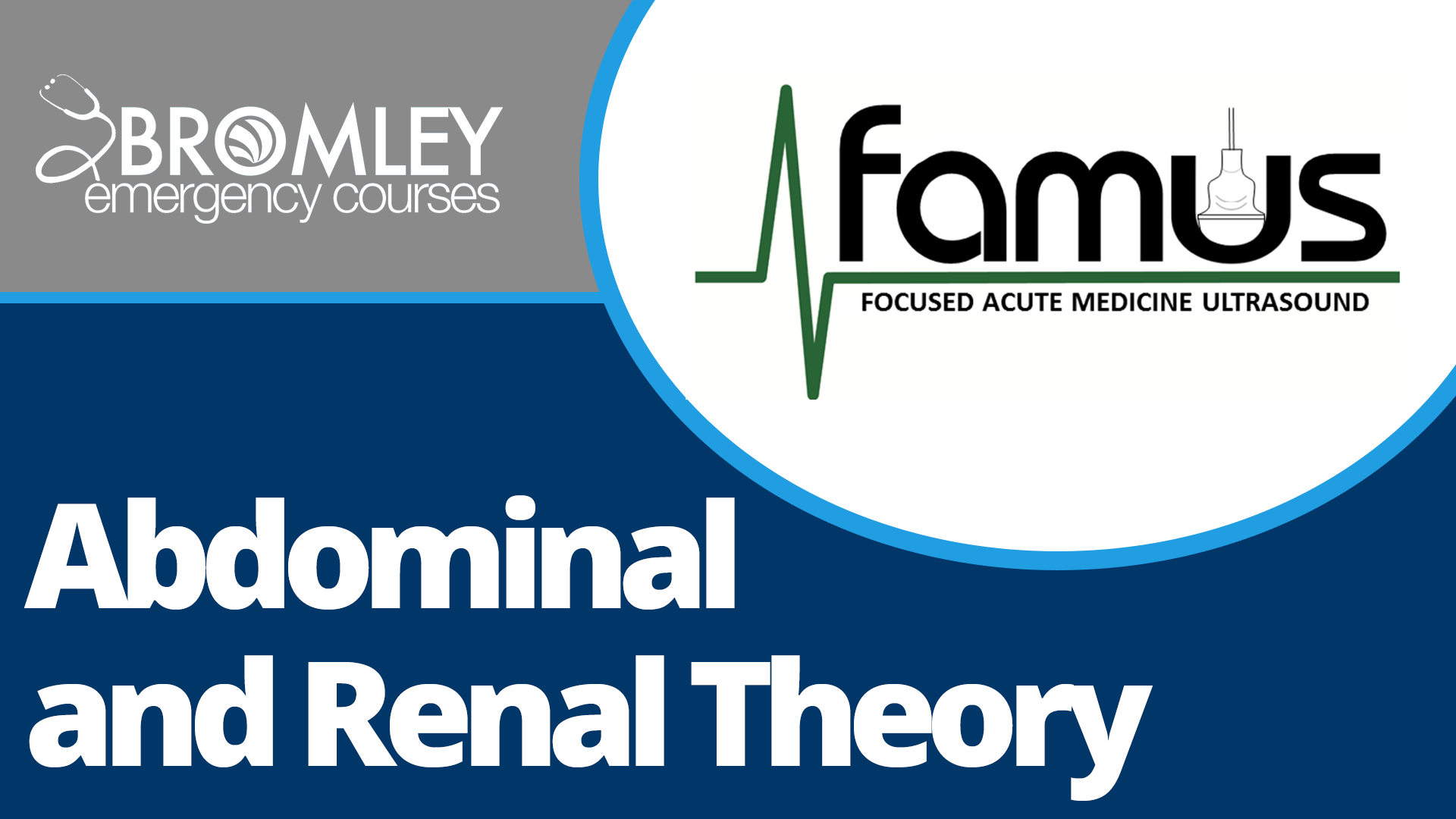Abdominal-and-renal-theory