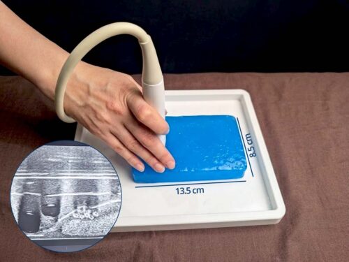 Fascia Iliaca Block Ultrasound Training Phantom