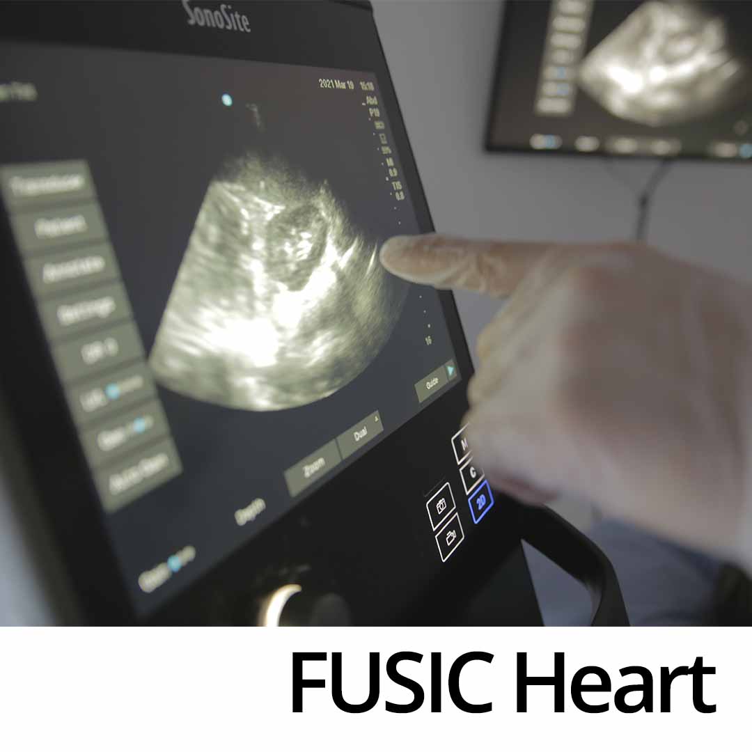 FUSIC Heart Course