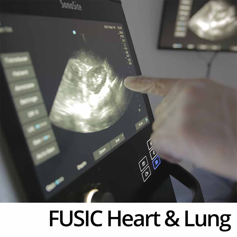 FUSIC Heart & FUSIC Lung Course