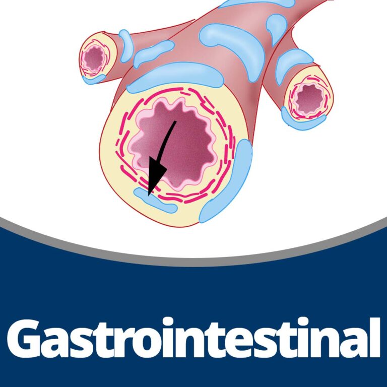 Physiology: Gastrointestinal (40 min)