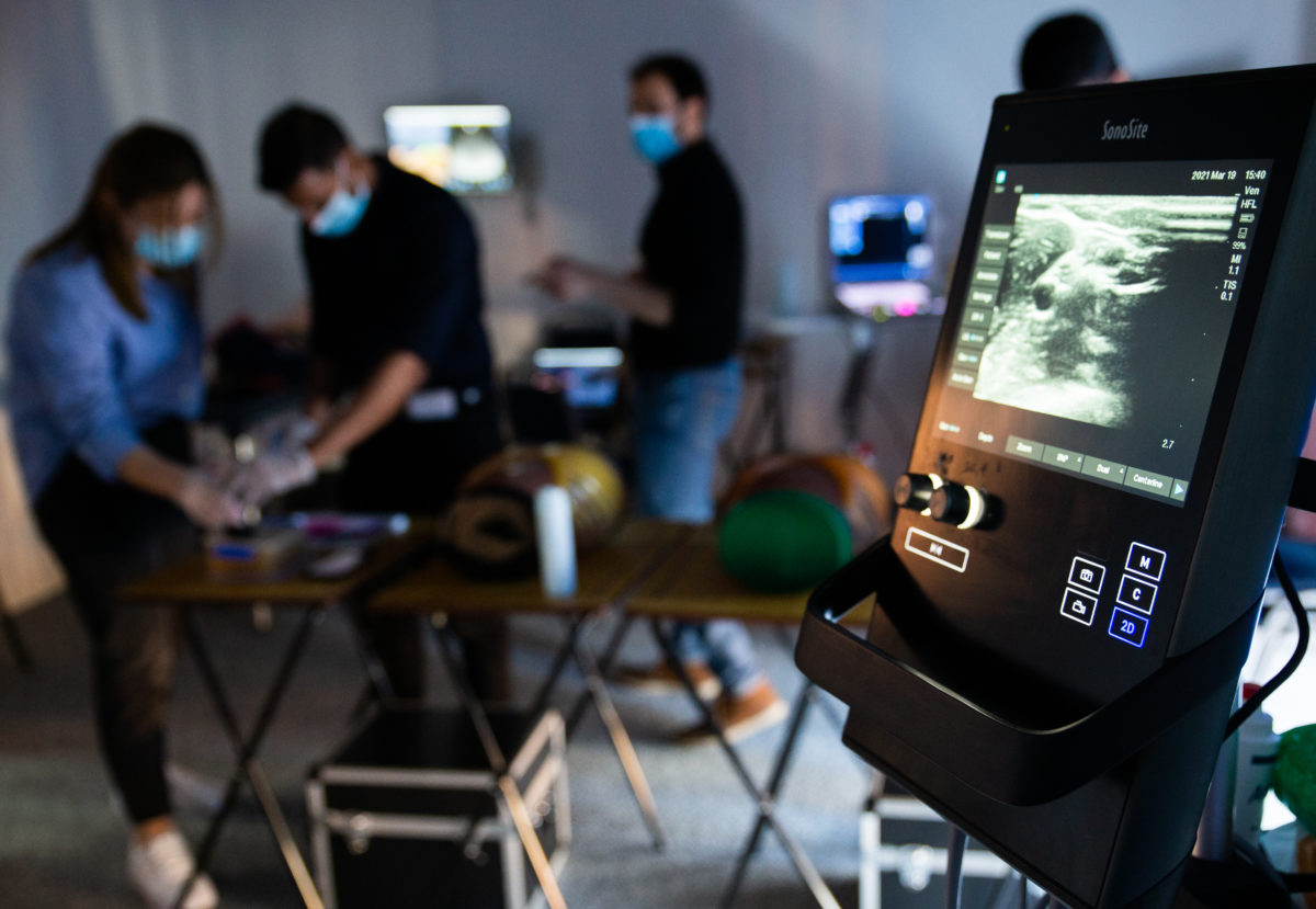 Advanced PointofCare Ultrasound Course (Level 2)