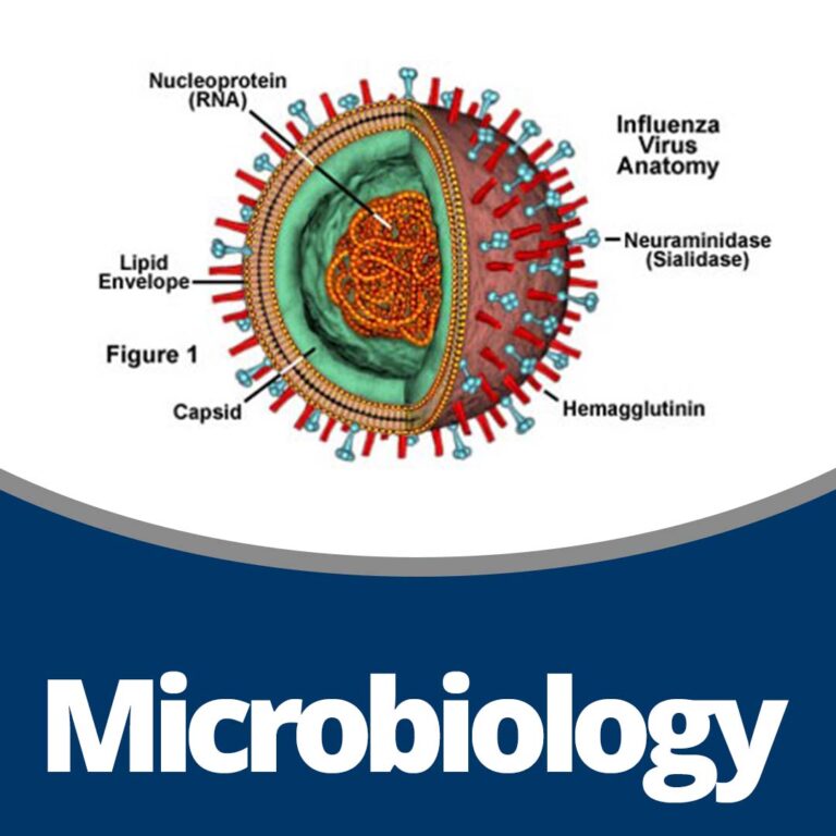 Microbiology (229 min)
