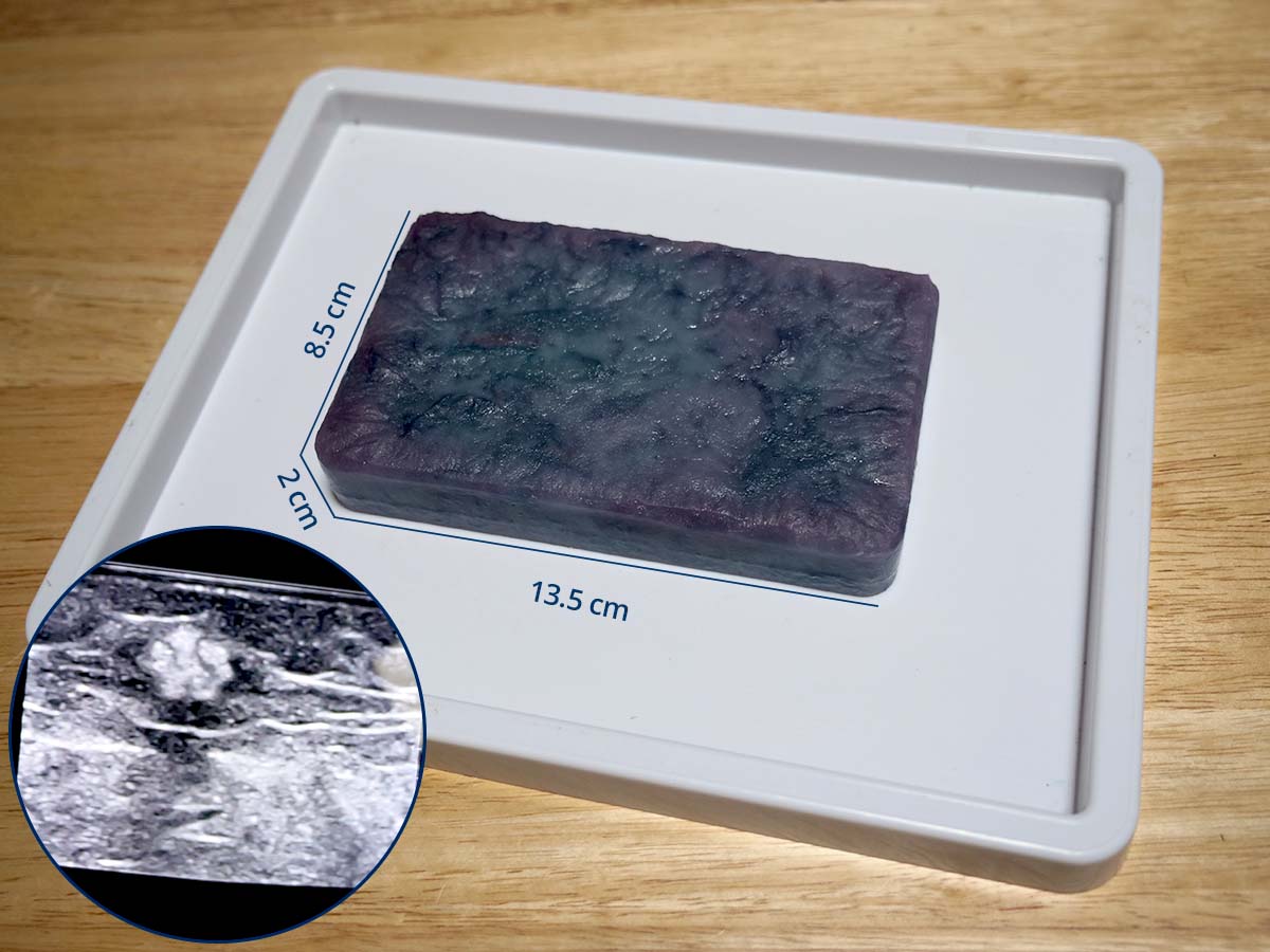 Ultrasound-Guided Nerve Block Training Phantom