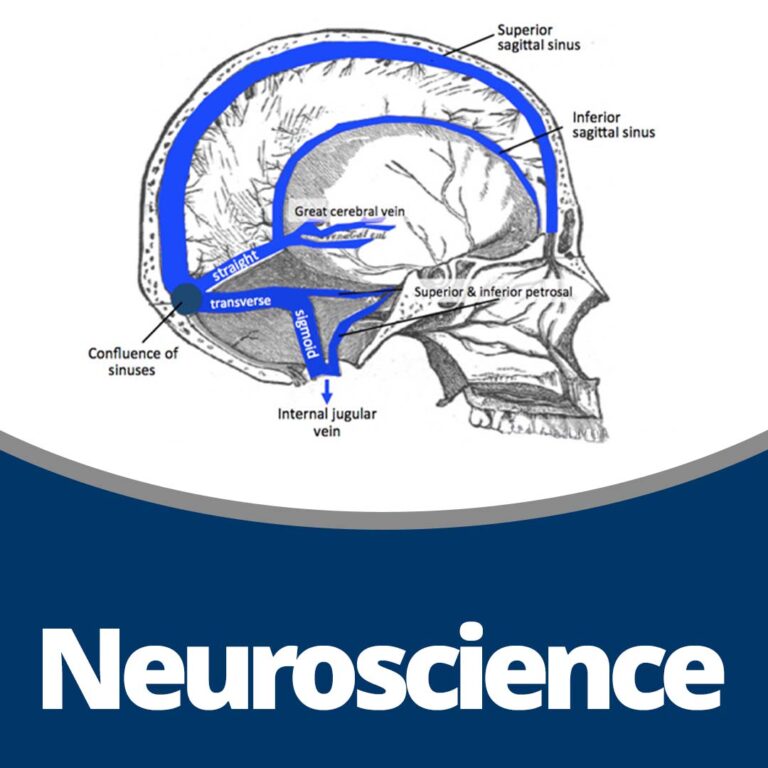 Neuroscience (64 min)