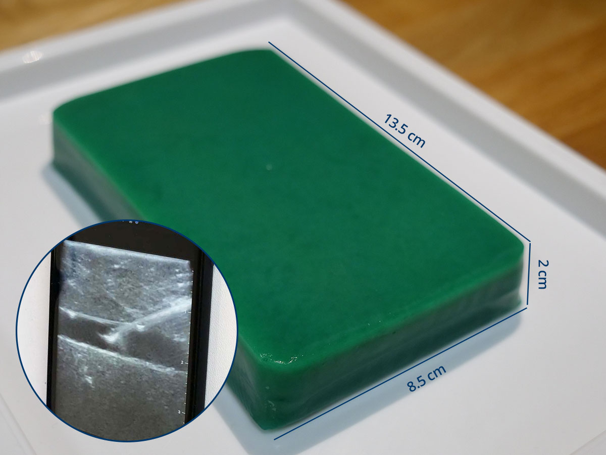 Vascular Access Ultrasound Training Phantom