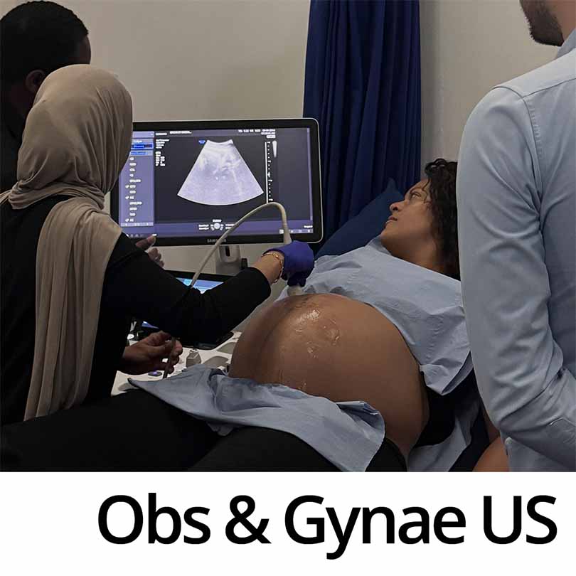 Obstetrics and Gynaecology Ultrasound Courses