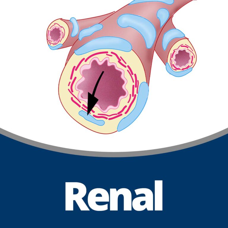 Physiology: Renal (44 min)