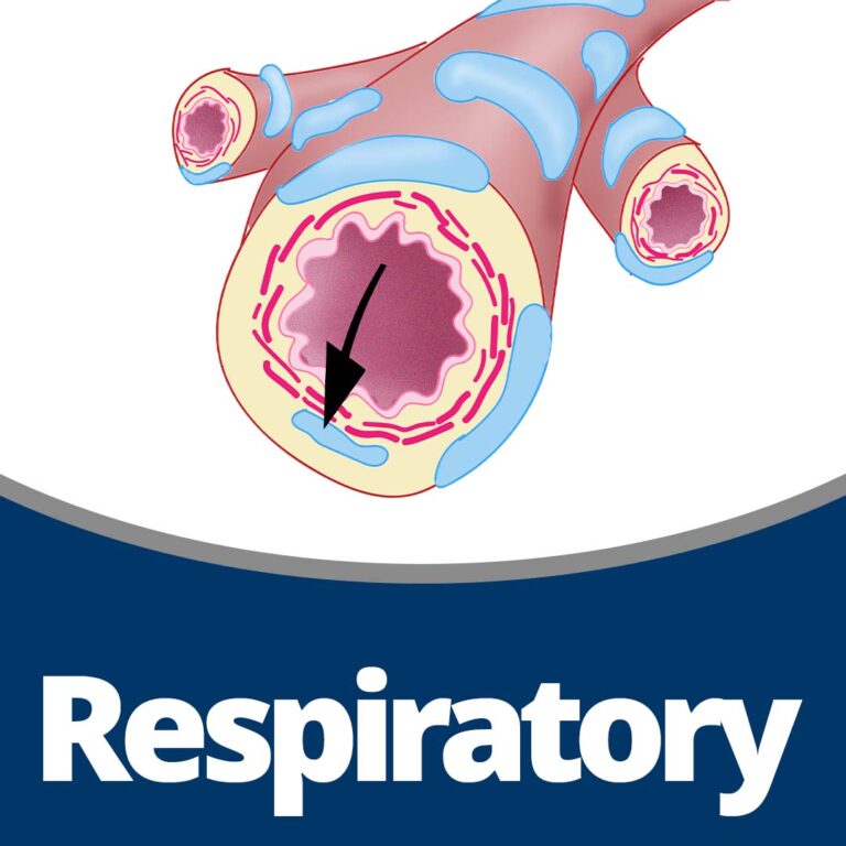 Physiology: Respiratory (137 min)