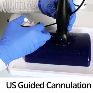 US Guided Cannulation