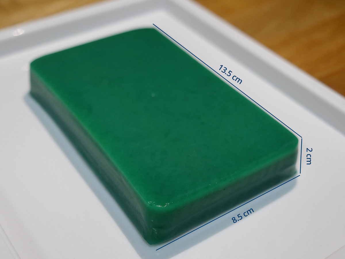 Vascular Access Ultrasound Training Phantom - dimensions