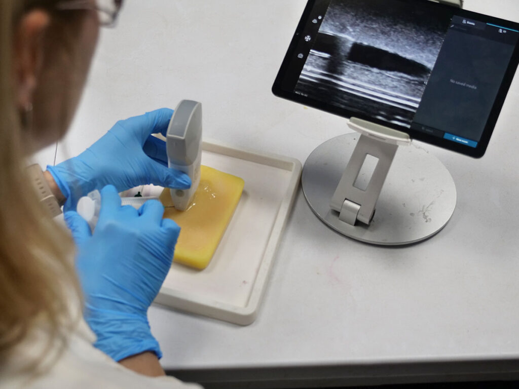 Vascular Access Ultrasound Training Phantom - Scanning