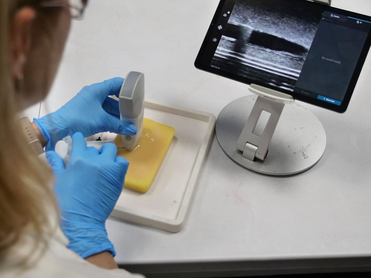 Vascular Accesss Phantom – header Vascular Access Ultrasound Training Phantom - Scanning