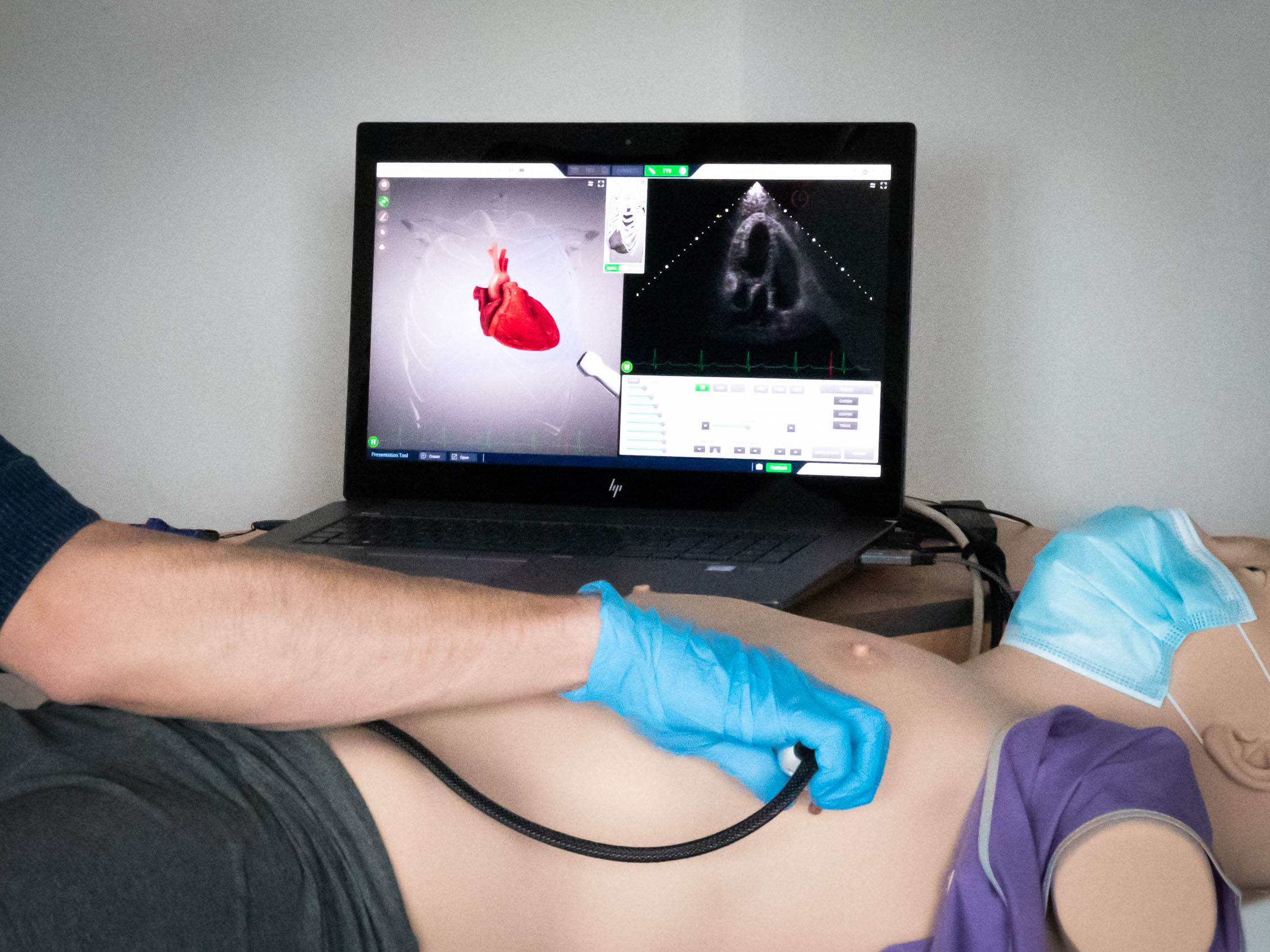 ultrasound-heartworks-simulator FAMUS-simulator