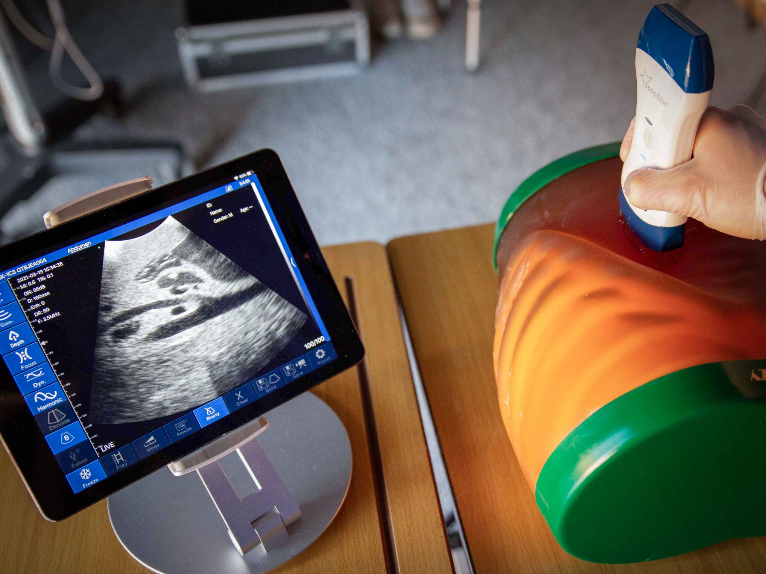 ultrasound-phantom-scanning ultrasound-practical-scanning